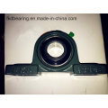 Bearing, Pillow Block Bearing, Ukp206